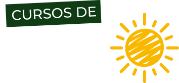 Cursos de Verão - Valéria Vaz